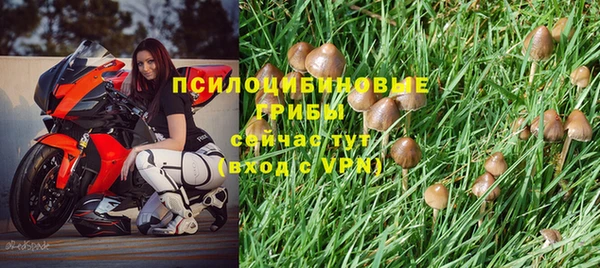 не бодяженный Абаза