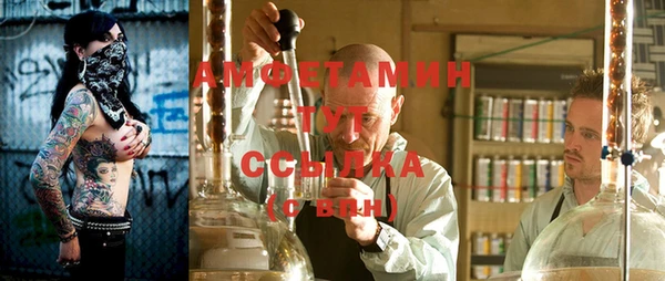 стаф Магас
