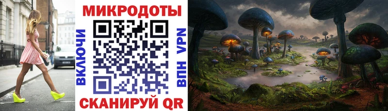 купить наркотики сайты  Староминская  omg ссылка  Псилоцибиновые грибы GOLDEN TEACHER 