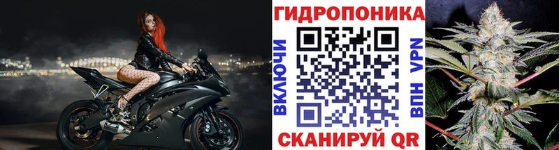 Конопля SATIVA & INDICA  Староминская 